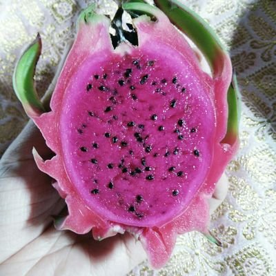 Kookie14678824's profile picture. 💗🍭รีไปเรื่อย🍭💗