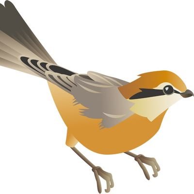 \チュンチュン/
サーバーサイドエンジニア,
Java, js,
AWS, ESX,
Linux(CentOS, Ubuntu), PostgreSQL, MySQL