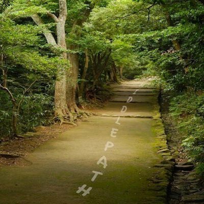 abcklwong's profile picture. 