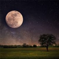 Mohamed (@mohamed__l) 's Twitter Profile Photo