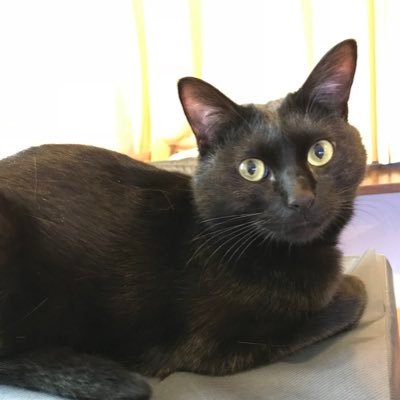 4VbosAjwmoyPCSv's profile picture. 漫画と映画が好きです。萩尾望都。内田善美。谷山浩子好き。「死霊館」シリーズ。「エクソシスト」「エミリーローズ」「スパナチュ」ハマり中 北海道