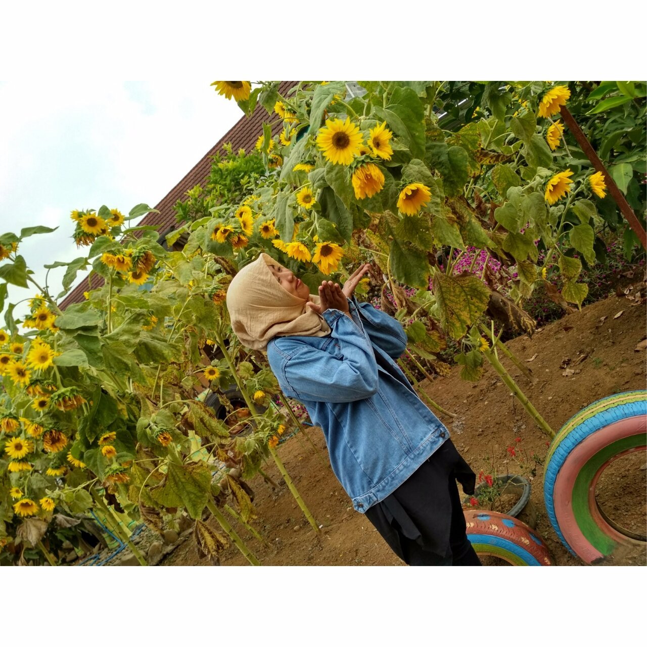 Maullid's profile picture. Kosongin aja ah