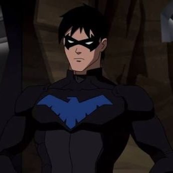 Richard Grayson || former boy wonder || Adopted son of Bruce Wayne || JL || Teen Titans || Young Justice