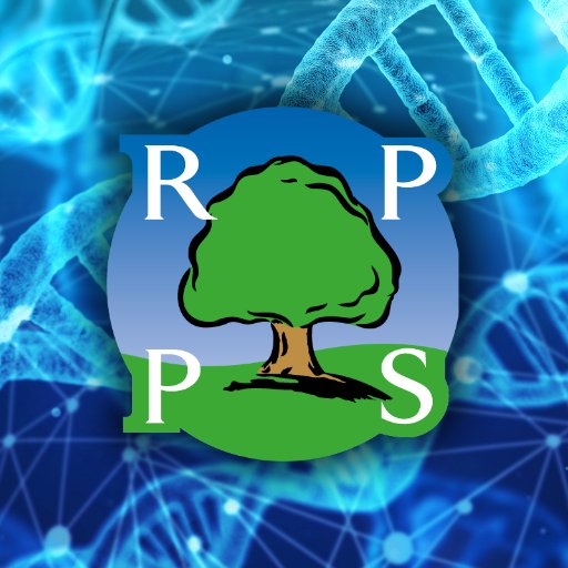 Science, Technology, Engineering and Maths at @RPPSlondon, a co-educational independent school for children aged 4 to 11.  #RPPSscience