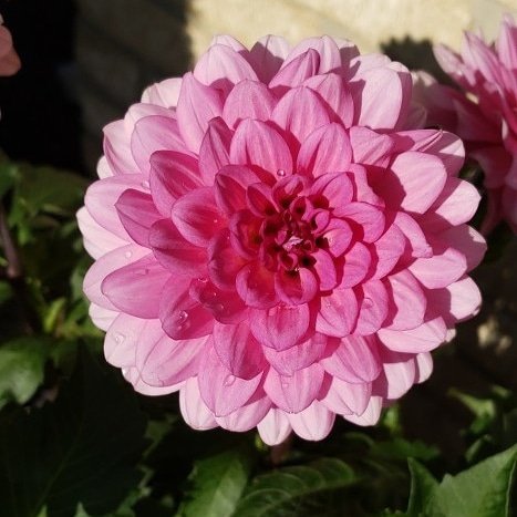 JennacaLynn's profile picture. Sharing pretty things that my hands make