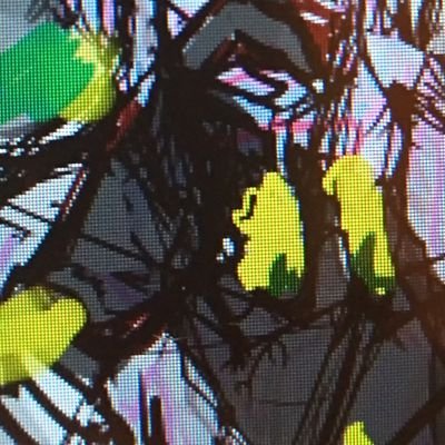 Ｒ+王さんのプロフィール画像