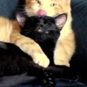 Ansley Wallace - @spunkafunk - Twitter