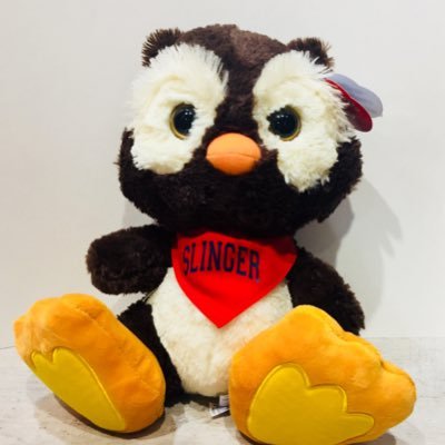 The Rookery is your place to find one of a kind Slinger merchandise and apparel. Follow for special deals and promotions!