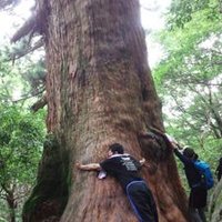 ヤマッシー (@yamassi_1107) Twitter profile photo