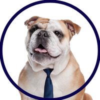 UNCA Career Center (@uncacareer) 's Twitter Profile Photo