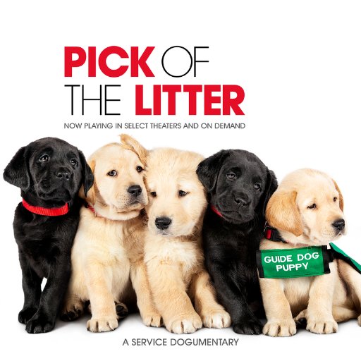 With an unforgettable cast of canine personalities, see this uplifting celebration of the unique bond between humans & dogs. Now Playing. #PickOfTheLitter