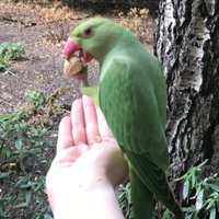 Jennifer Hochenberg (@jhochenberg) 's Twitter Profile
