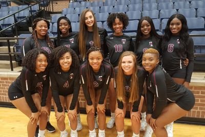 Timberview V-ball