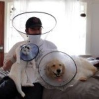Ron lemen (@ronlemen) 's Twitter Profile Photo Ron lemen (@ronlemen) 's Twitter Profile Photo