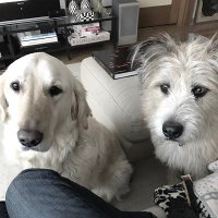 snap.psta (@snappsta) 's Twitter Profile Photo