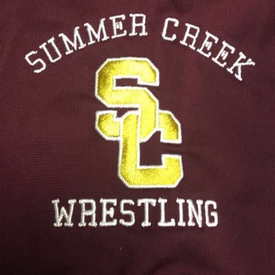 SummerWrestling's profile picture. 