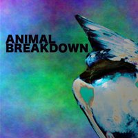 ANIMAL BREAKDOWN(@ANIMALBREAKDOWN) 's Twitter Profile Photo