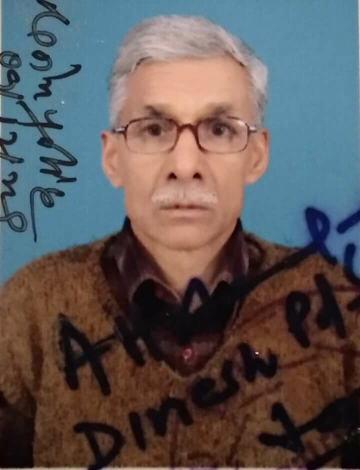 Dineshsingh1113's profile picture. 