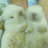 kokoro_info's profile image