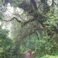 petalosoy 🍉 (@petalosoy) 's Twitter Profile