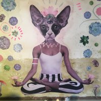 Kira Ayyadi (@ka_os_) 's Twitter Profile