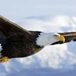 MarK Ve⚽ (@mark4726) 's Twitter Profile