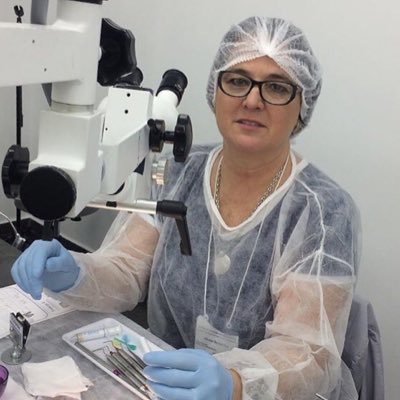 silvanaboccia's profile picture. https://t.co/OO5W8sw7kr