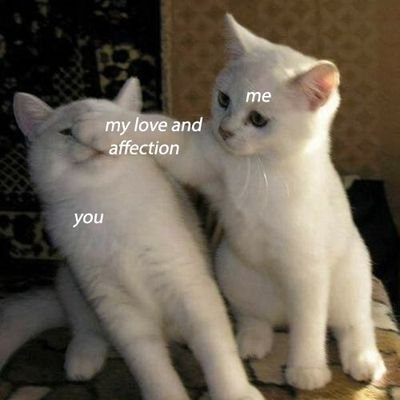 ccas1979's profile picture. some semblance of a bio || nonsensical obscurities