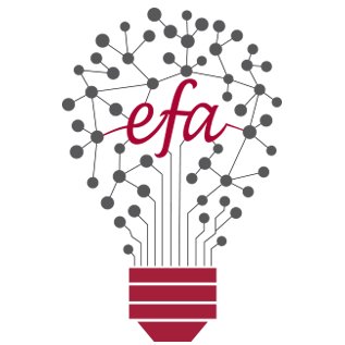 The EFA was established to recognize and support outstanding  accomplishments and initiatives in innovation and entrepreneurship at  WSU.