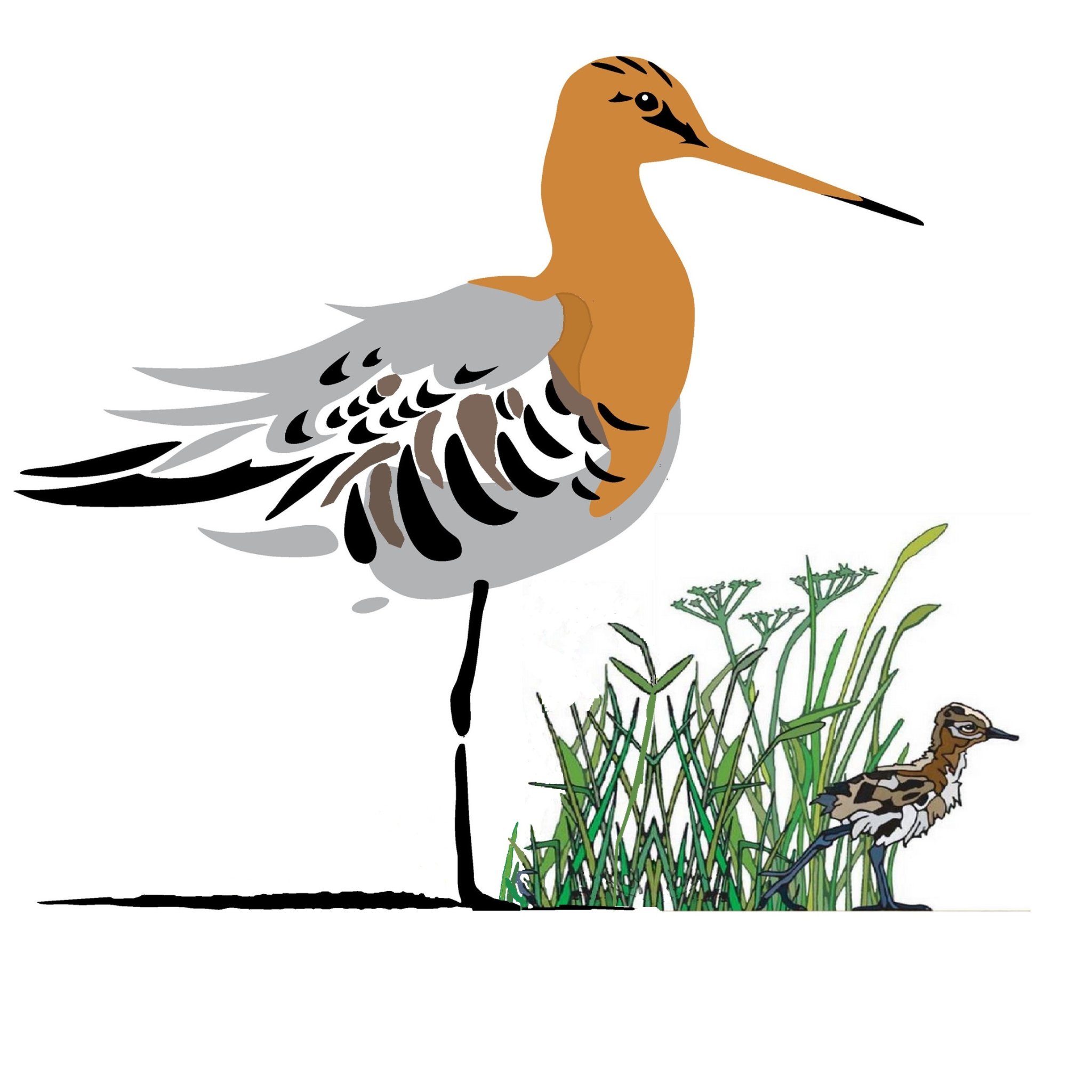 Groenehartstoc1's profile picture. #GroeneHartstocht verwijst uiteraard naar het #GroeneHart 💚 hartstocht🥰 en ontdekkingstocht🐞🦫🌸 ook op Instagram & Facebook