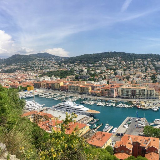 optionstips's profile picture. 