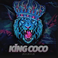 sisueuendnf (@cocoesport) 's Twitter Profile