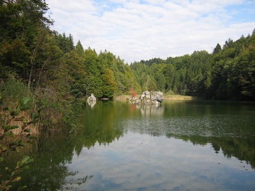 IlonaQu's profile picture. 