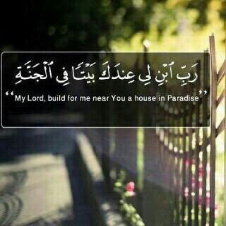 T2SqlYB2jRbD9UB's profile picture. اللهم صَل وسلم على محمد