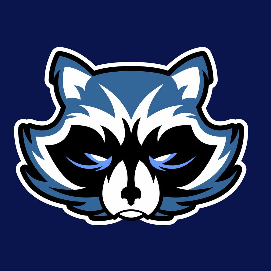 Логотип команды енот