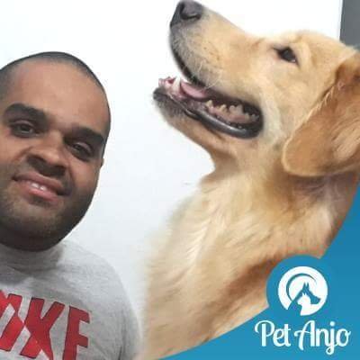 Rafael Araújo - Dog Walker e Pet Sitter