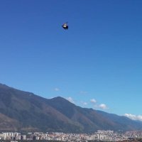 Yazmine Livinalli (@yazlivi) 's Twitter Profile