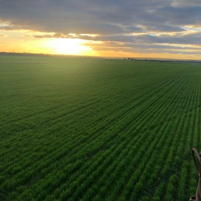 Broadacre mixed farming enterprise in Wheatbelt WA.