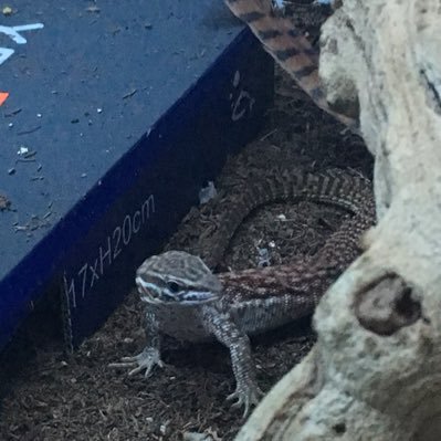 afool99725542's profile picture. just got called a fool in my own home