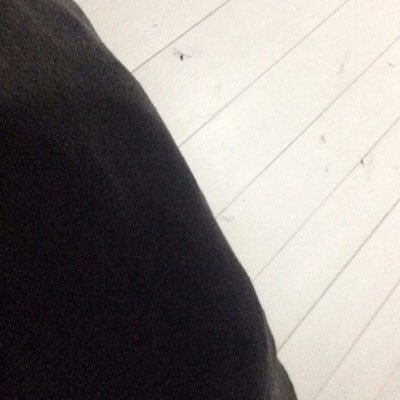 Derpydog9's profile picture. No