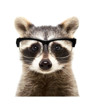 Warrior, Philosopher, Raccoon
BlueSky Handle
@myopicraccoon.bsky.social
Mastodon Handle
@MyopicRaccoon@mastodonapp.uk
