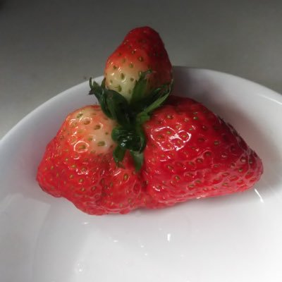 ☽チーコ☆彡ぼちぼち。さんのプロフィール画像
