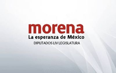 Diputados del Estado de Morelos por el Partido Morena