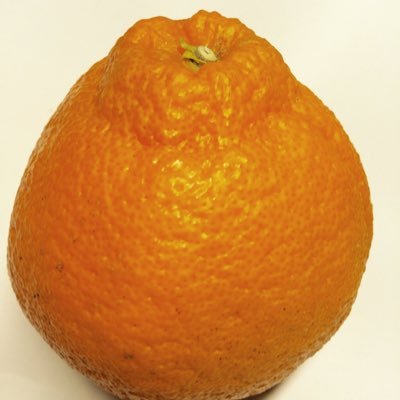 0qfgMSpyZfM6eLB's profile picture. 