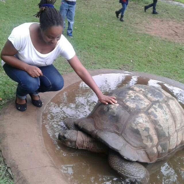 pamelaantonio34's profile picture. Chevening Alumni 2018/19