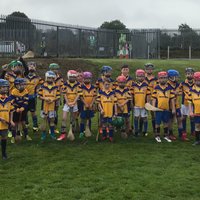Taghmon Camross Coiste na nOg (@tagcamcoiste) 's Twitter Profile Photo Taghmon Camross Coiste na nOg (@tagcamcoiste) 's Twitter Profile Photo