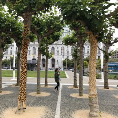 CelineMizrahi's profile picture. South Jerz proud, NYC strong. Low talker raising the loudest boys in Brooklyn. #donatelife