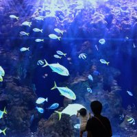 なもし (@namoshimoshi) 's Twitter Profile