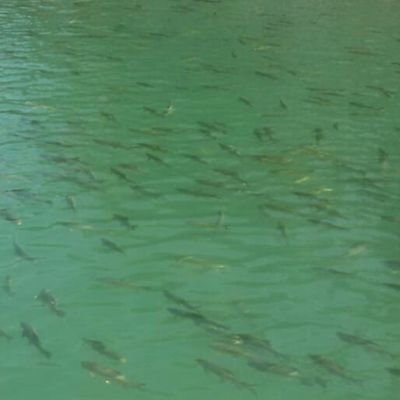 Ogretme80294579's profile picture. 