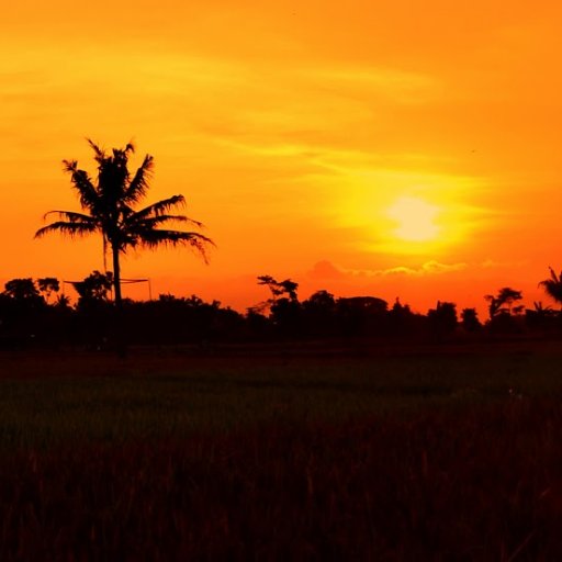 nuranayil_'s profile picture. Beautiful things happen when you distance yourself from negativity✨ | Ayyy Cat Lover Here 😻